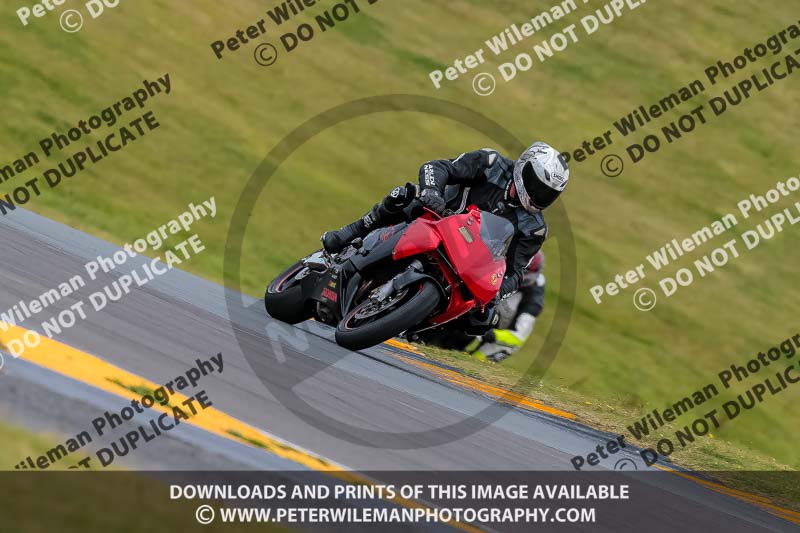 PJ Motorsport 2019;anglesey no limits trackday;anglesey photographs;anglesey trackday photographs;enduro digital images;event digital images;eventdigitalimages;no limits trackdays;peter wileman photography;racing digital images;trac mon;trackday digital images;trackday photos;ty croes